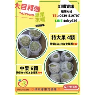 001_vivipic _24_.jpg 001_vivipic _24_.jpg